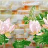 Tranh hoa sen cá BH-054 đá hoa cương