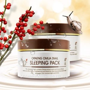 mat_na_ngu_opaeng_omija_snail_sleeping_pack_100ml__35657_zoom-300x300-1